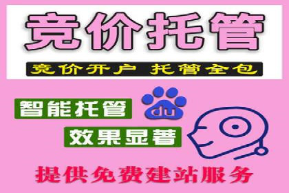 行业领先企业的SEM优化之路